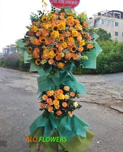 Điện Hoa Khai Trương Hoài Đức