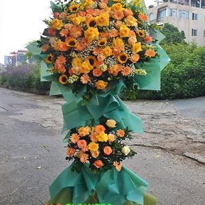 Điện Hoa Khai Trương Hoài Đức