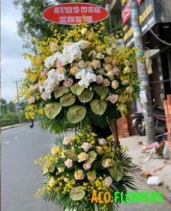 Điện Hoa Khai Trương Sa Đéc