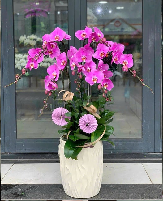 Điện Hoa 24 Giờ